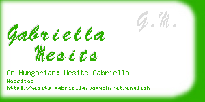 gabriella mesits business card